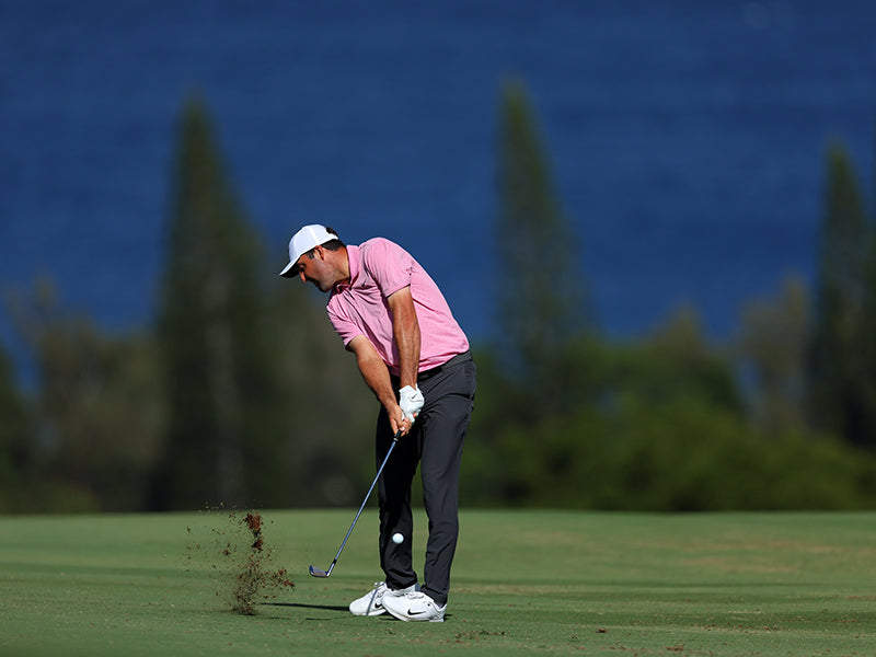 4-Week Swing Improvement