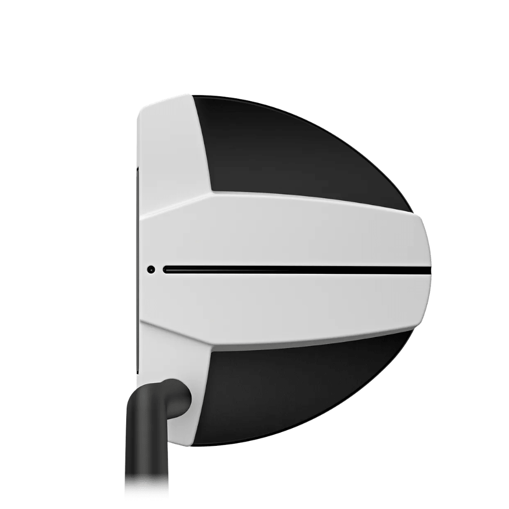 Ping Scottsdale Tec Hayden Putter
