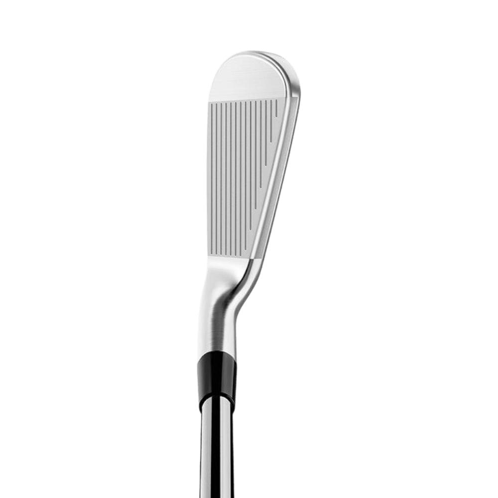TaylorMade P790 Forged Irons